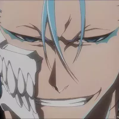 Bleach TYBW