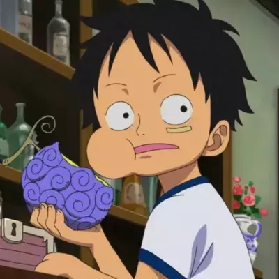 Fruits du démon One Piece