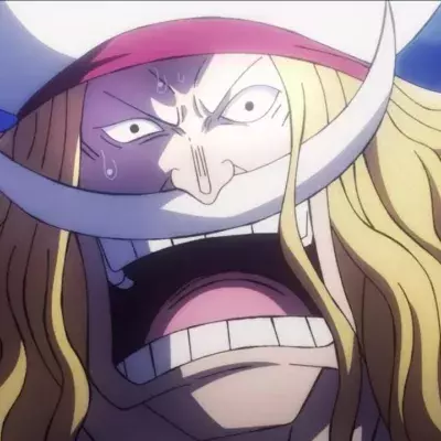 One piece Barbe Blanche