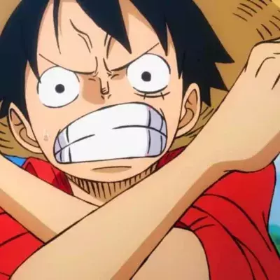 one piece chapitre 1095 spoil