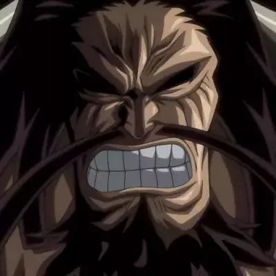 One piece Kaido