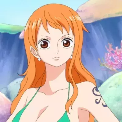 One Piece Nami premier design
