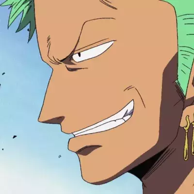 One Piece Zoro comportement
