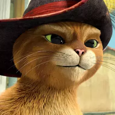 Chat potté