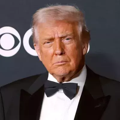 donald trump netflix