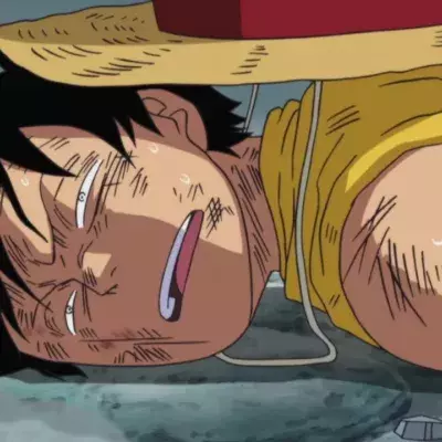 one piece 1098
