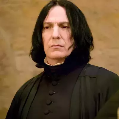 rogue description livre harry potter
