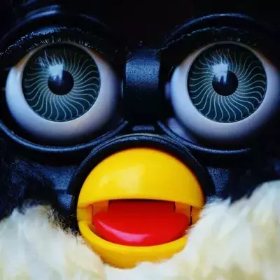 Voici tout ce que vous devez savoir sur Mr. Widemouth