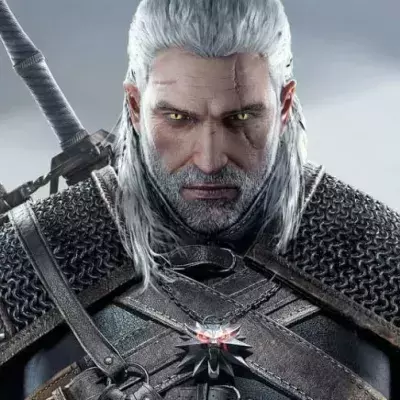 The witcher livre