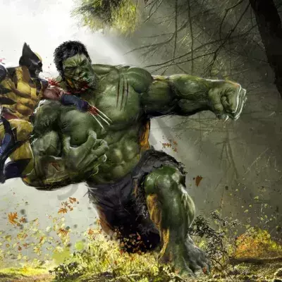 Wolverine vs Hulk