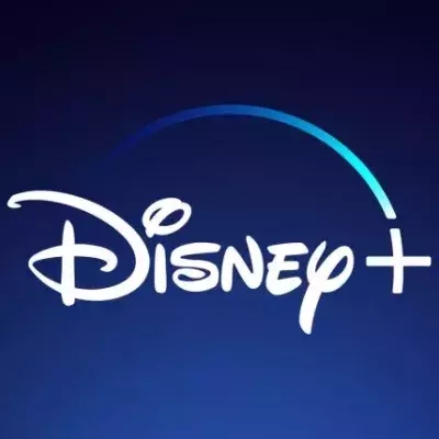 Disney + retard