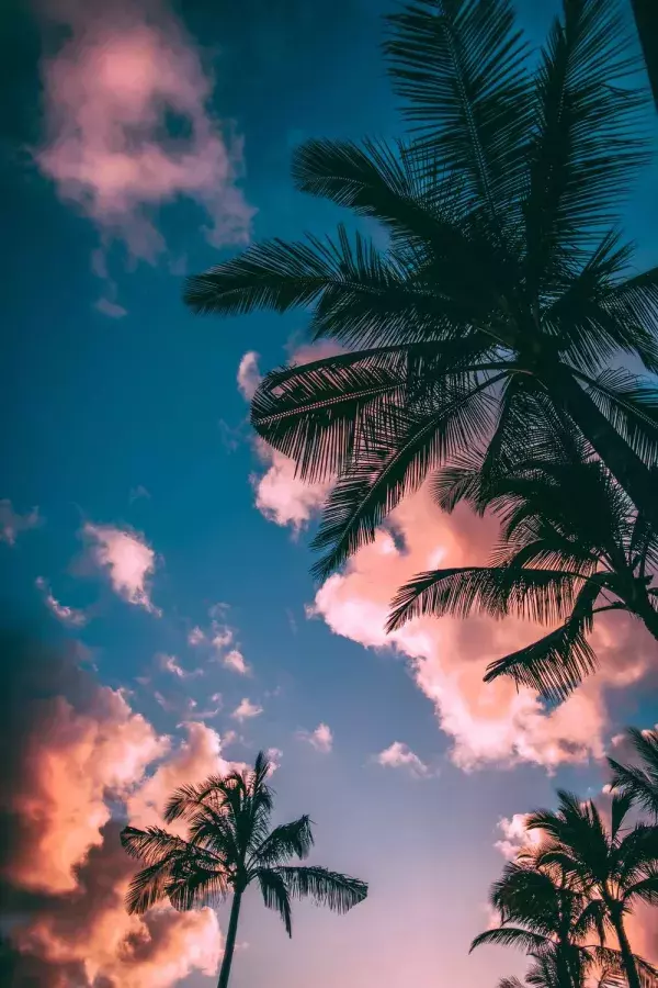 Front californien, fond d'écran pour iPhone