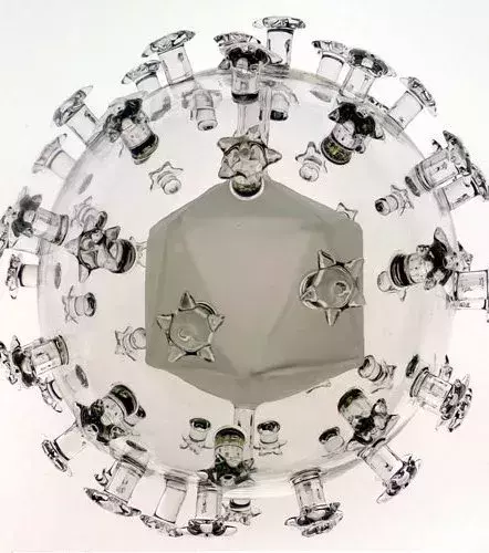 Le virus du papillome humain (papillomavirus) reconstitué en verre