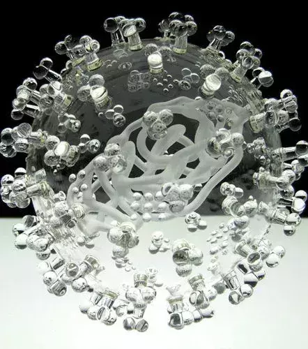 Le virus H1N1 de la grippe porcine reconstitué en verre