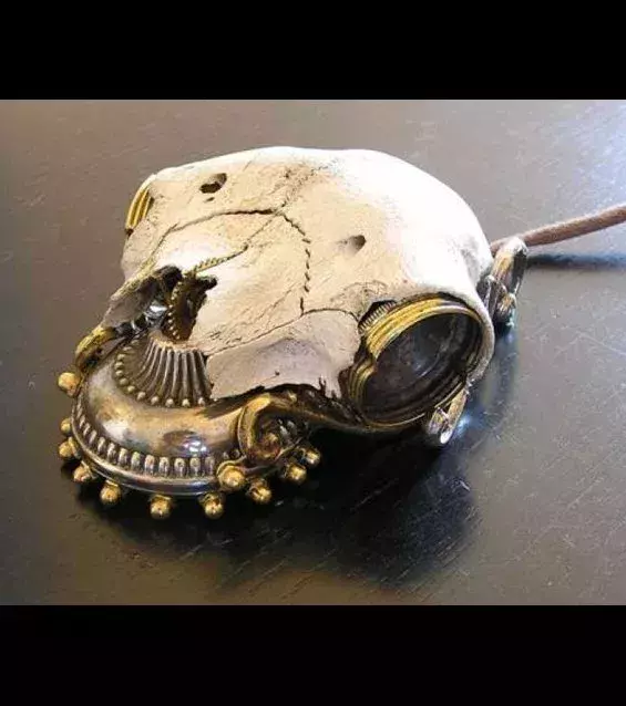 Souris crâne et cuivre
