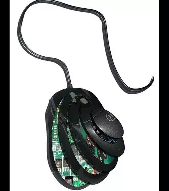 Souris en tranches