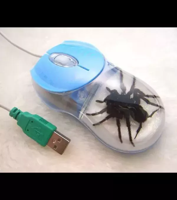 Souris Mygale