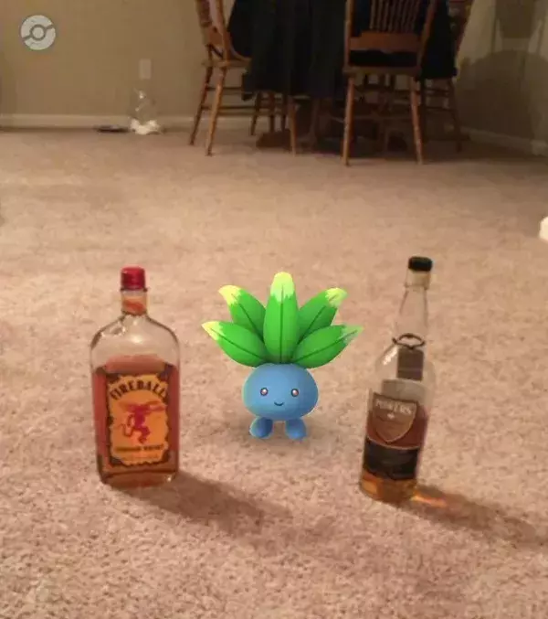 Apparitions surprenantes dans Pokémon Go : un Mystherbe prêt à vous accompagner