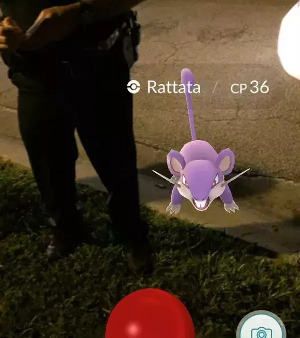 Apparitions surprenantes dans Pokémon Go : un Rattata qui veille à la sécurité de la ville