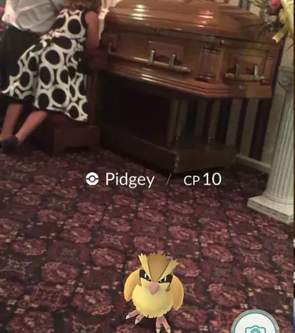 Apparitions surprenantes dans Pokémon Go : un Roucool rend hommage au défunt