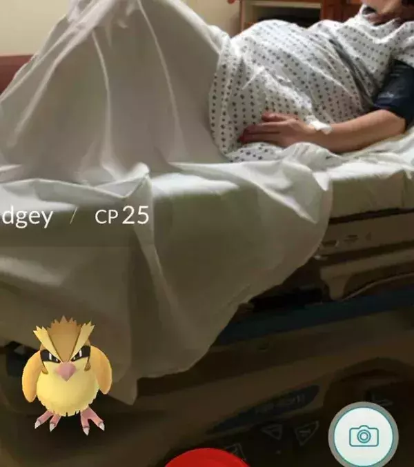 Apparitions surprenantes dans Pokémon Go : un Roucool s'invite à l'accouchement