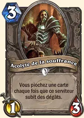 Deck Guerrier pour battre le Roi-Liche : 2x Acolyte de la souffrance
