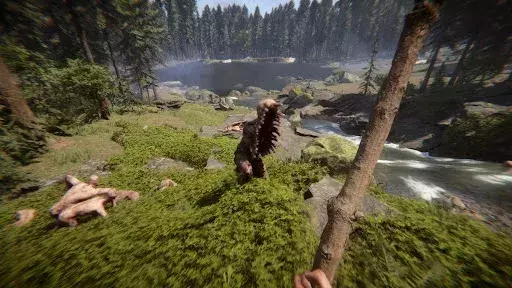 The Forest