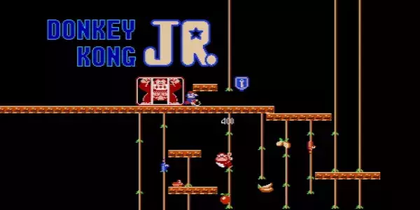 Il existe un jeu dans lequel Mario est méchant
