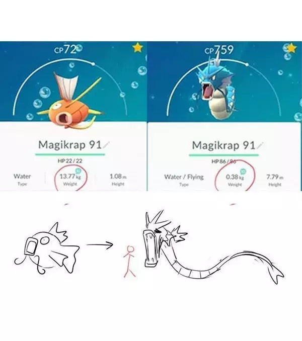 Les vraies formes des Pokémon : donc Leviator ne serait qu'une version étirée de Magicarpe ?