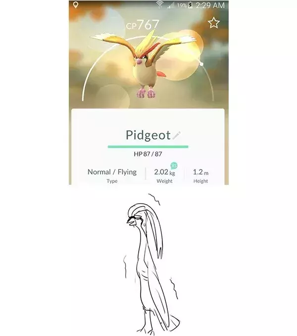 Les vraies formes des Pokémon : Roucarnage n'est pas l'oiseau générateur de tornade qu'on imaginait