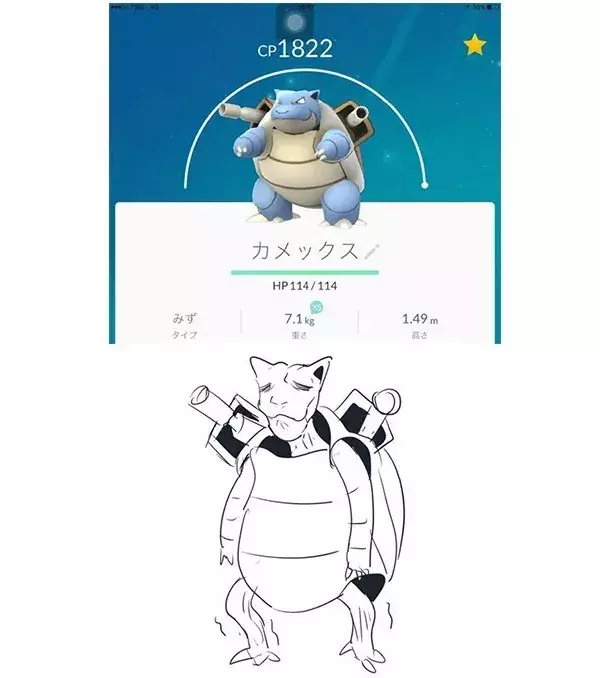 Les vraies formes des Pokémon : Tortank ne fera pas le poids face à Dracaufeu ou Florizarre