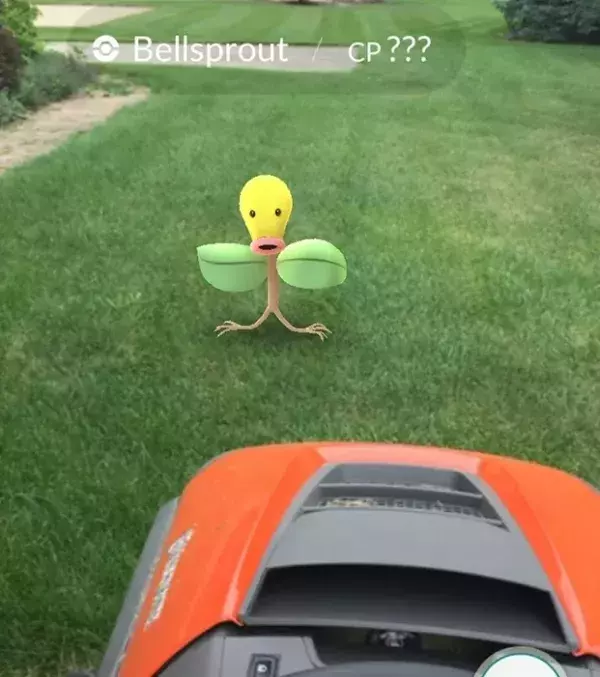 Pokémon Go insolite : un Chetiflor sur le point d'être mis K.O.