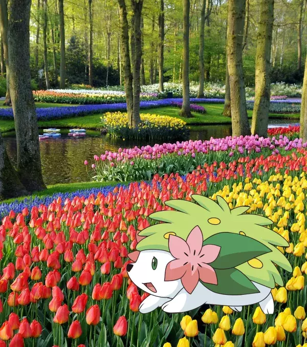 Pokémon Go légendaires : Le parc de Keukenhof ou "jardin aux tulipes" aux Pays-Bas pour Shaymin