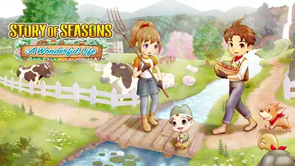 3. Story of Seasons : A Wonderful Life
