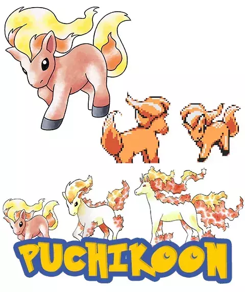 PUCHIKOON