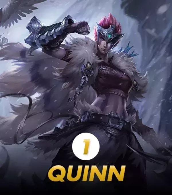 quinn