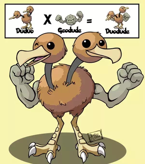 Racaduo