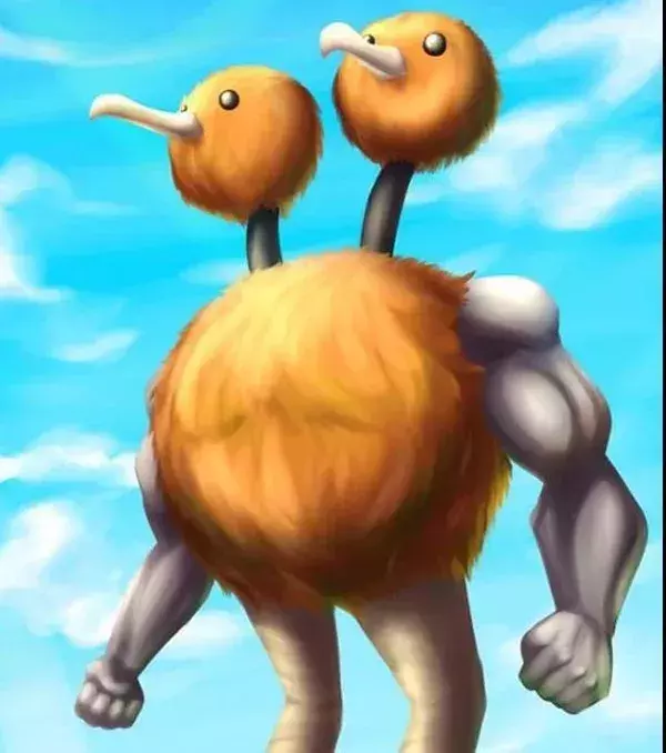 Racaduo