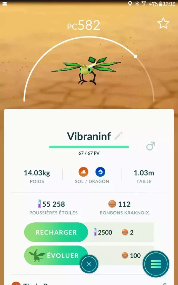 Vibraninf - Pokémon de type Dragon et Sol