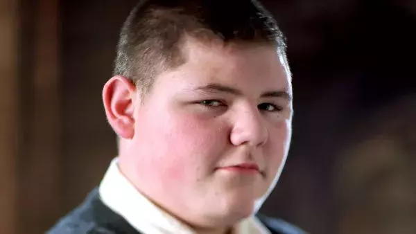 23. L'acteur de Vincent Crabbe a été viré de la saga