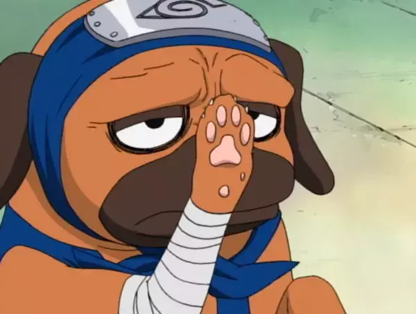 11. Pakkun