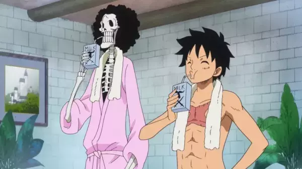 N°13 : One Piece