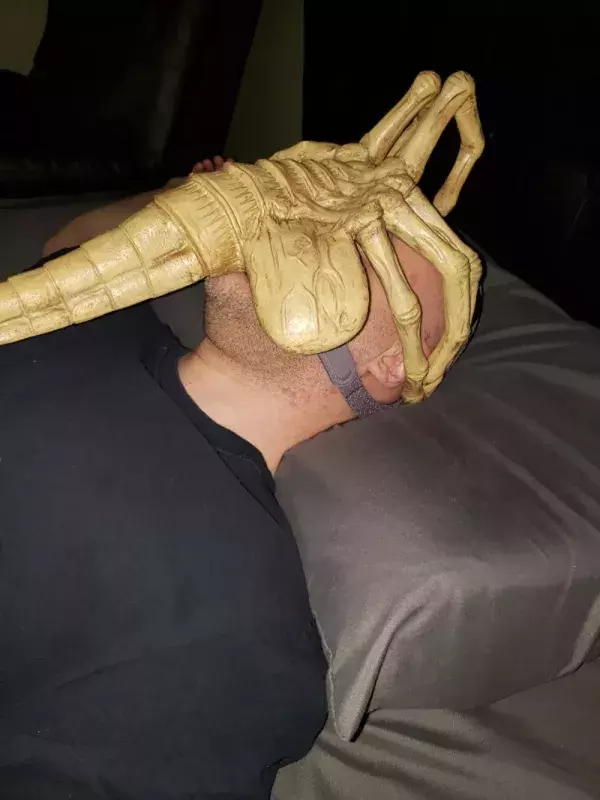 Appareil respiratoire alien : le résultat final