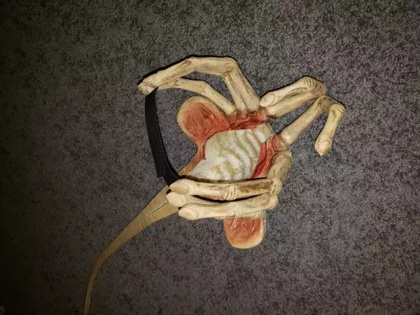 Appareil respiratoire alien : les étapes de la création 4