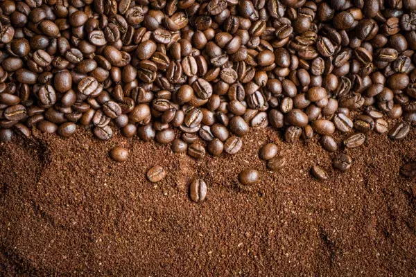 Coffee                                      
