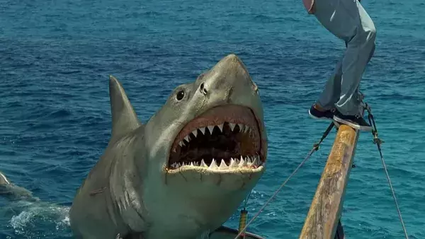 10. Les Dents de la Mer: La revanche