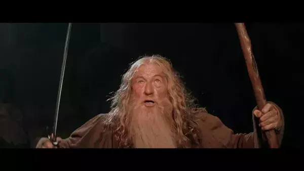 Le Seigneur des Anneaux - "Vous ne passerez pas"