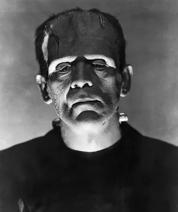 Frankenstein (1931)