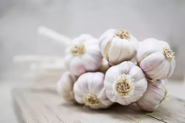 Garlic                      