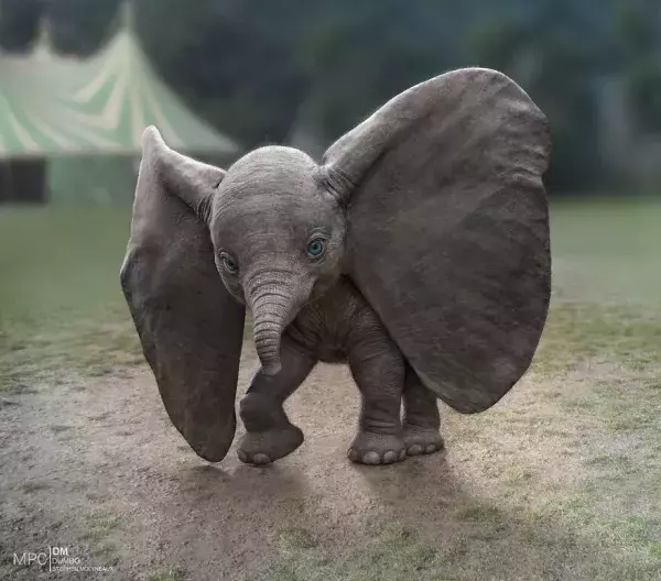 5. Dumbo (qui semble tout droit sorti du film de Tim Burton)